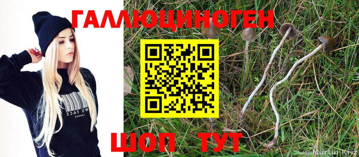 Скопин  Галлюциногенные грибы Magic Shrooms  Вход с VPN 