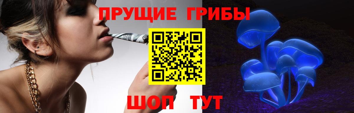 Псилоцибиновые грибы мицелий Скопин